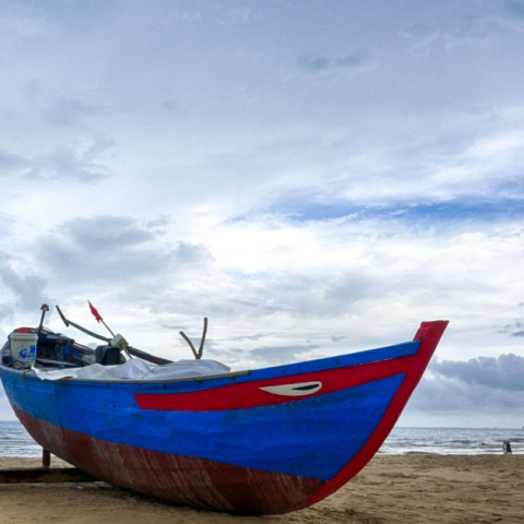 Whale Festival Vietnam