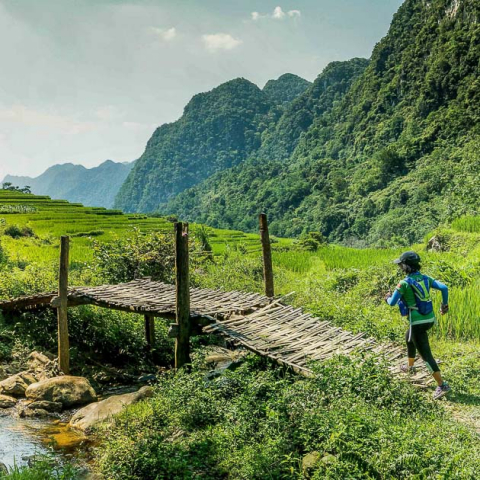 vietnam jungle marathon 2020