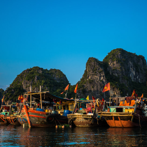 vietnam festival july 2021