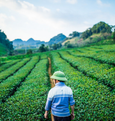สำรวจและโอบรับ: ทัวร์สีเขียวของเวียดนาม