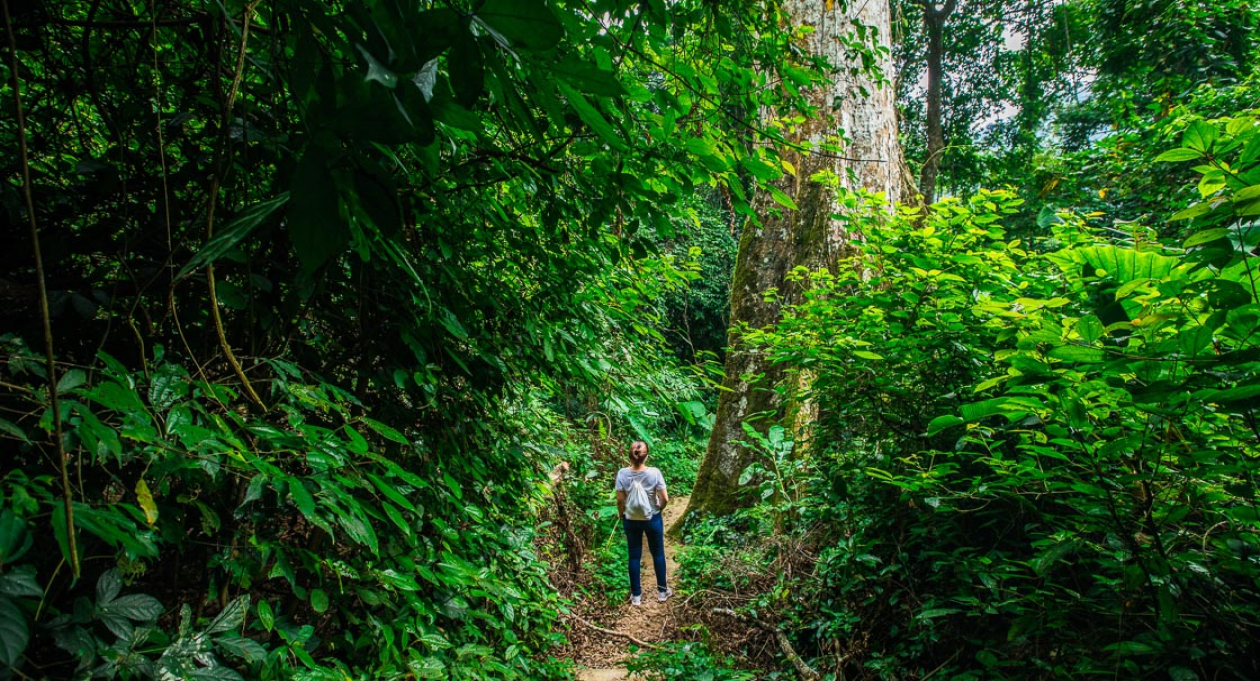 Comment voyager de manière responsable au Vietnam 