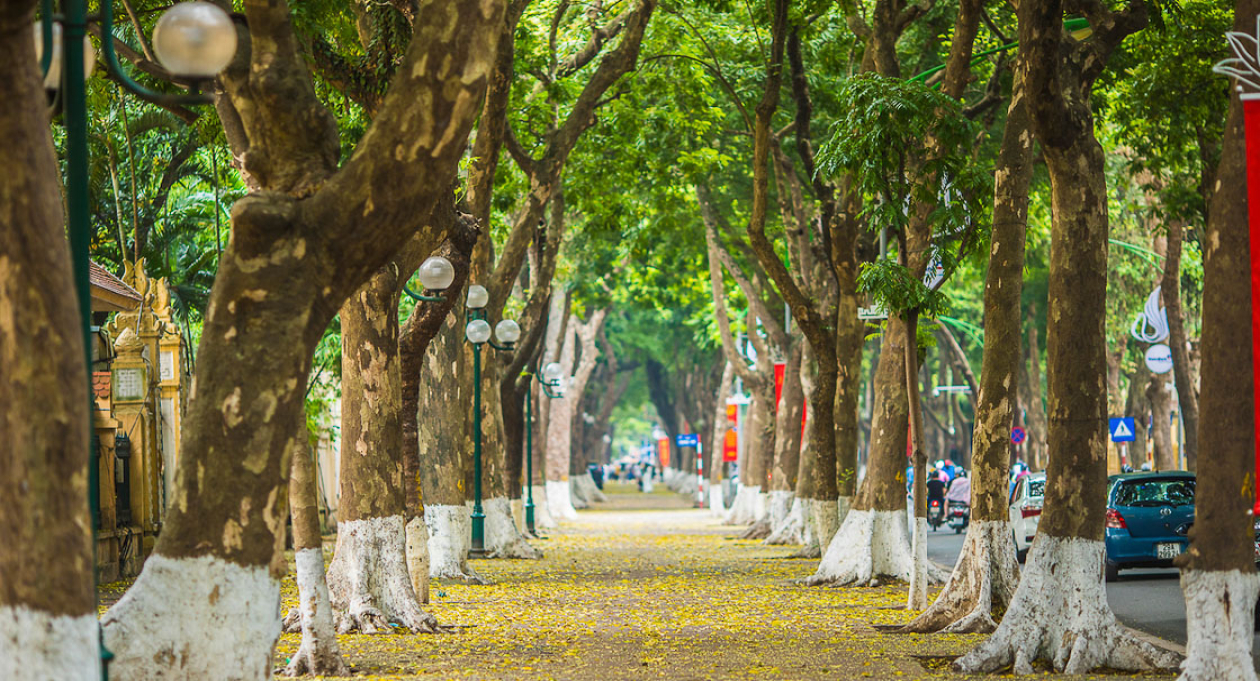3 tour đi bộ ở Hà Nội