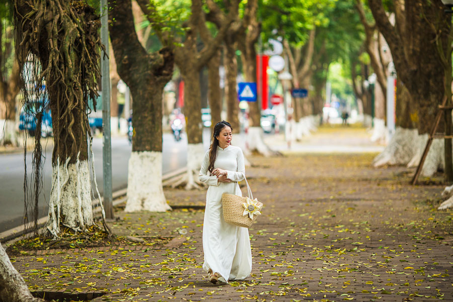 Phan Đình Phùng is one of Hanoi’s most romantic boulevards.