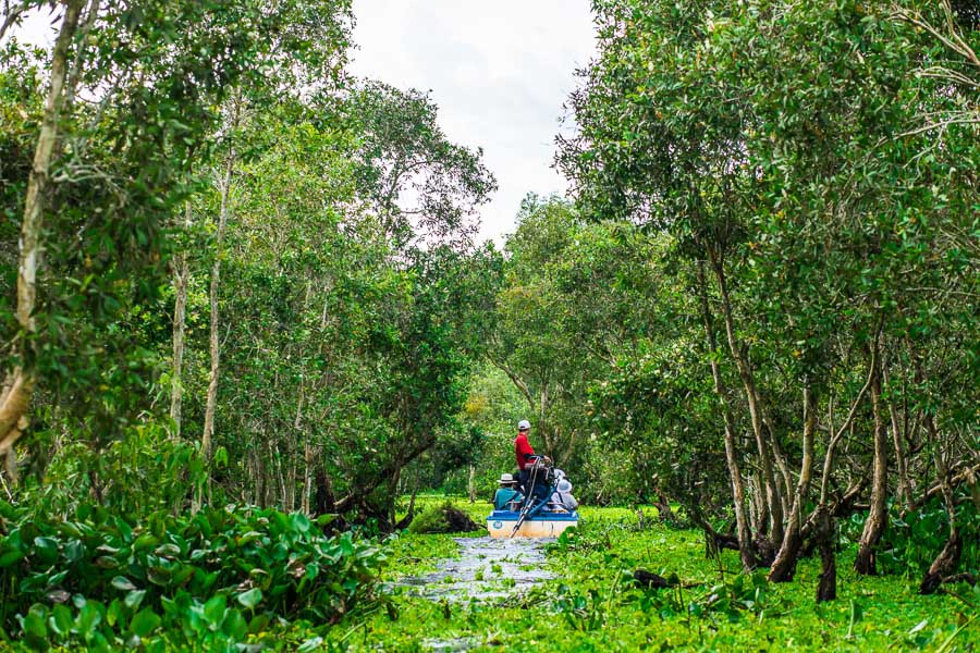 Exploring Trà Sư Forest is best done on a tắc ráng (motorised sampan).