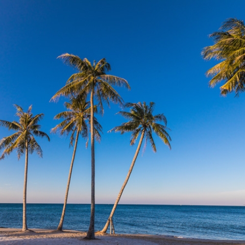 regent residences phu quoc