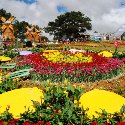11th Da Lat Flower Festival 2026