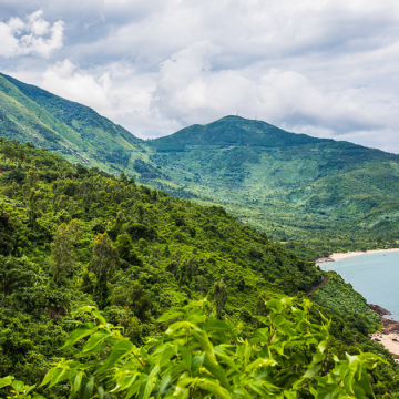 Vietnam Highlights