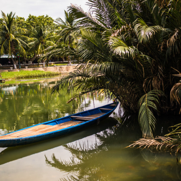 Vietnam In Depth