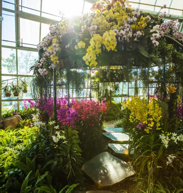5 amazing activities at VinWonders
