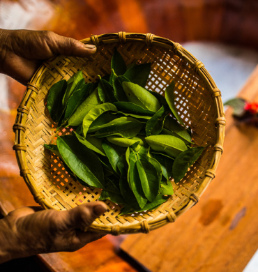 Red Dao herbal baths: a healing tradition