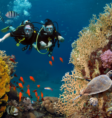 Underwater Activities in Phu Quoc