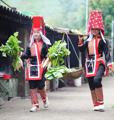 Explore, Relax, and Play in Northern Vietnam 