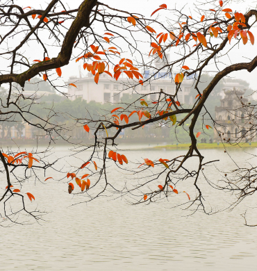 Experience the Poetry of Autumn in Hanoi