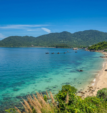 Have yourself an eco-friendly nature travel in Quang Nam