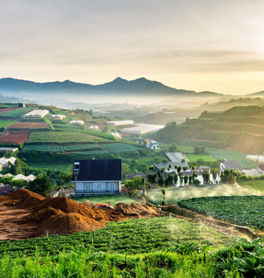 Farm Tours, Flowers, Strawberries and Coffee: Agrotourism in Dalat