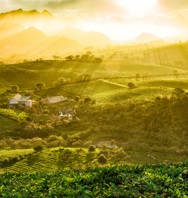 Why Moc Chau is every eco-traveller’s dream destination