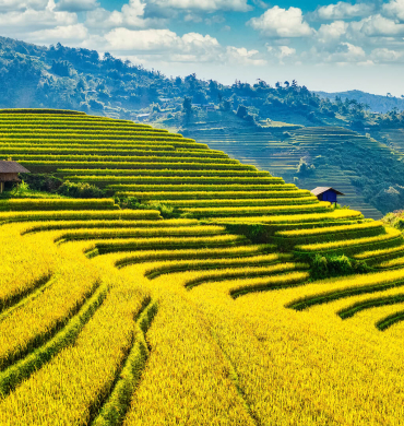 Things to do in North Vietnam