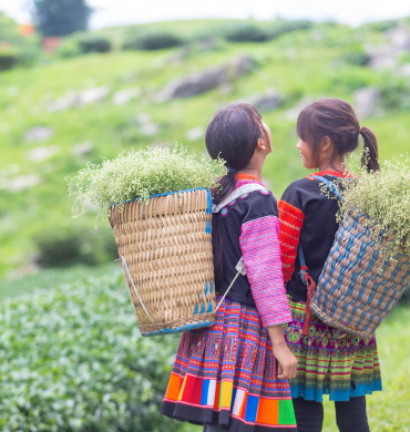Moc Chau: Your One-Stop Nature Escape