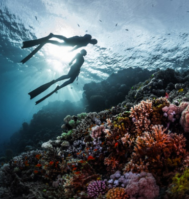 Ideal places for scuba diving in Vietnam