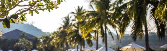 Vietnam Airlines & Vinpearl Package