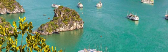 Halong cruises deal - BestPrice Travel