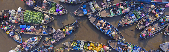 Can Tho: A glimpse of river and garden