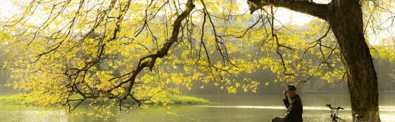 Autumn sonatas in Northern Vietnam