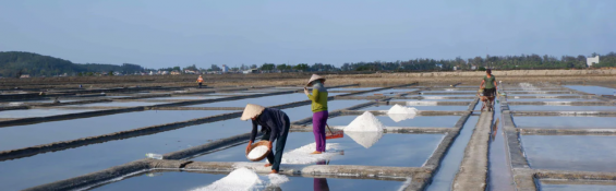 Have you visited these traditional craft villages in Vietnam?