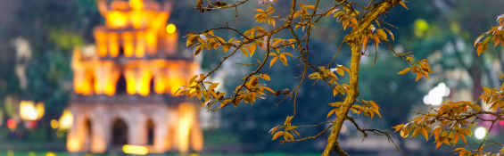 Can you feel the spring scent rejuvenating in the Hanoi winter wind?