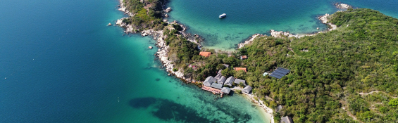 Whale Island Resort - Where Simplicity Meets the Sea