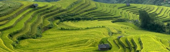 Up to 50% Off Vietnam Tours