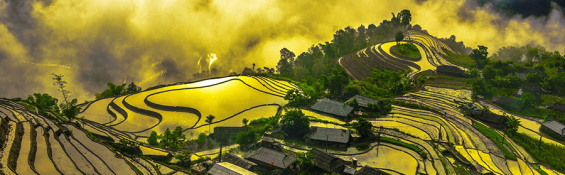 Five Key Trends Defining Global Tourism in 2026