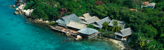 A green sanctuary for slow living souls at Whale Island Resort
