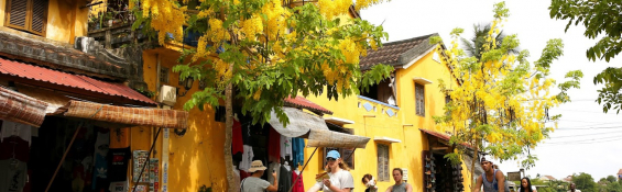 Vietnam - Safest country for female solo travellers
