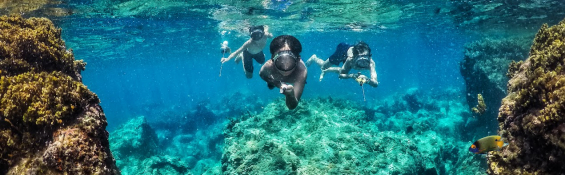 Sun, Sand & Serenity: 5 Vietnamese Islands for the Perfect Summer Escape