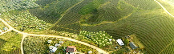 Moc Chau: A green and peaceful summer oasis near Hanoi