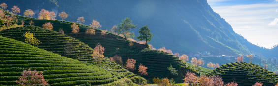 Explore cool escapes & hidden gems in Vietnam