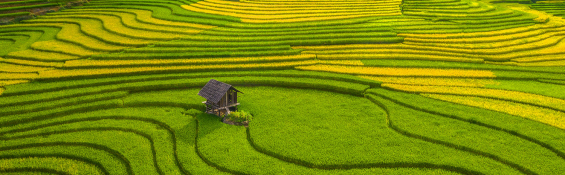 Get on a healing journey in Vietnam