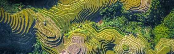 3 August destinations in Vietnam for great weather and thrilling experiences