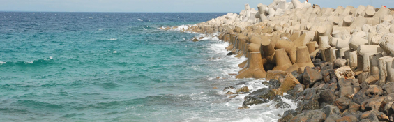 Con Co Island: Walking through Vietnam's green gem