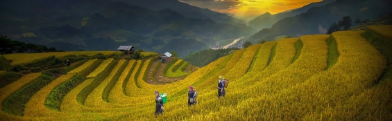 Enjoy early autumn in Northern Vietnam