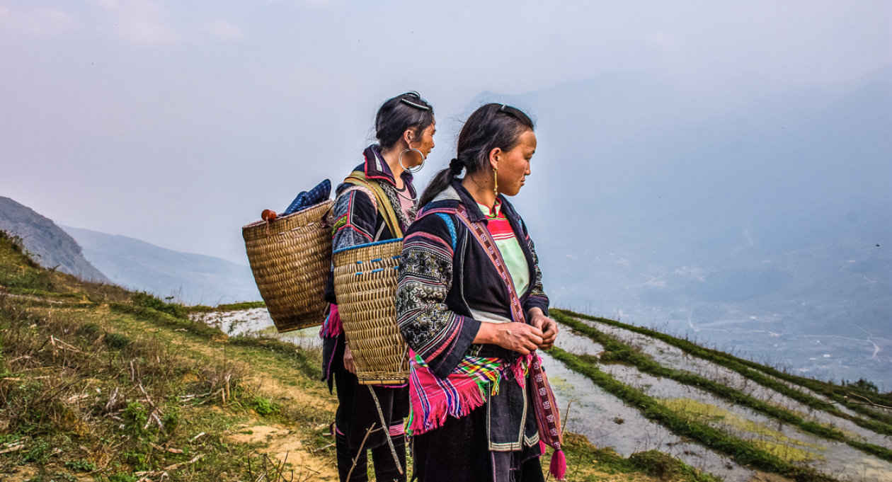 My Sapa: