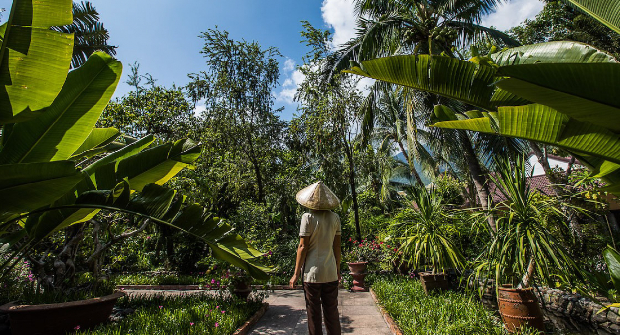 Weather and climate in Vietnam