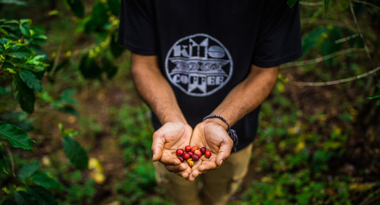 Un tour pour les amateurs de café à Da Lat