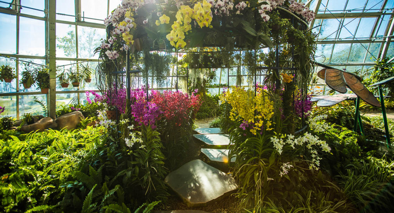 5 amazing activities at VinWonders