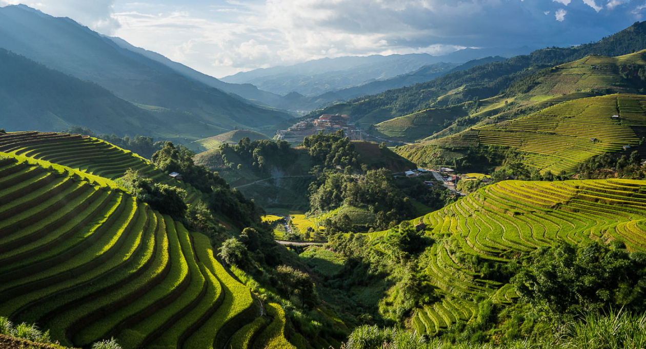 Where to see Vietnam's rice terraces