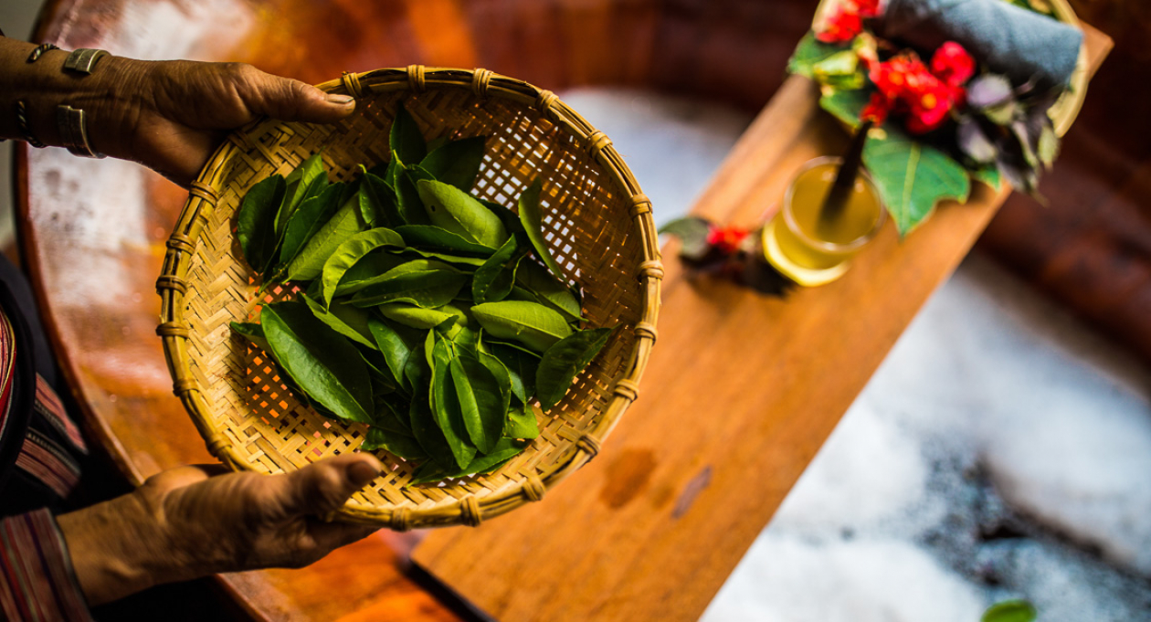 Red Dao herbal baths: a healing tradition