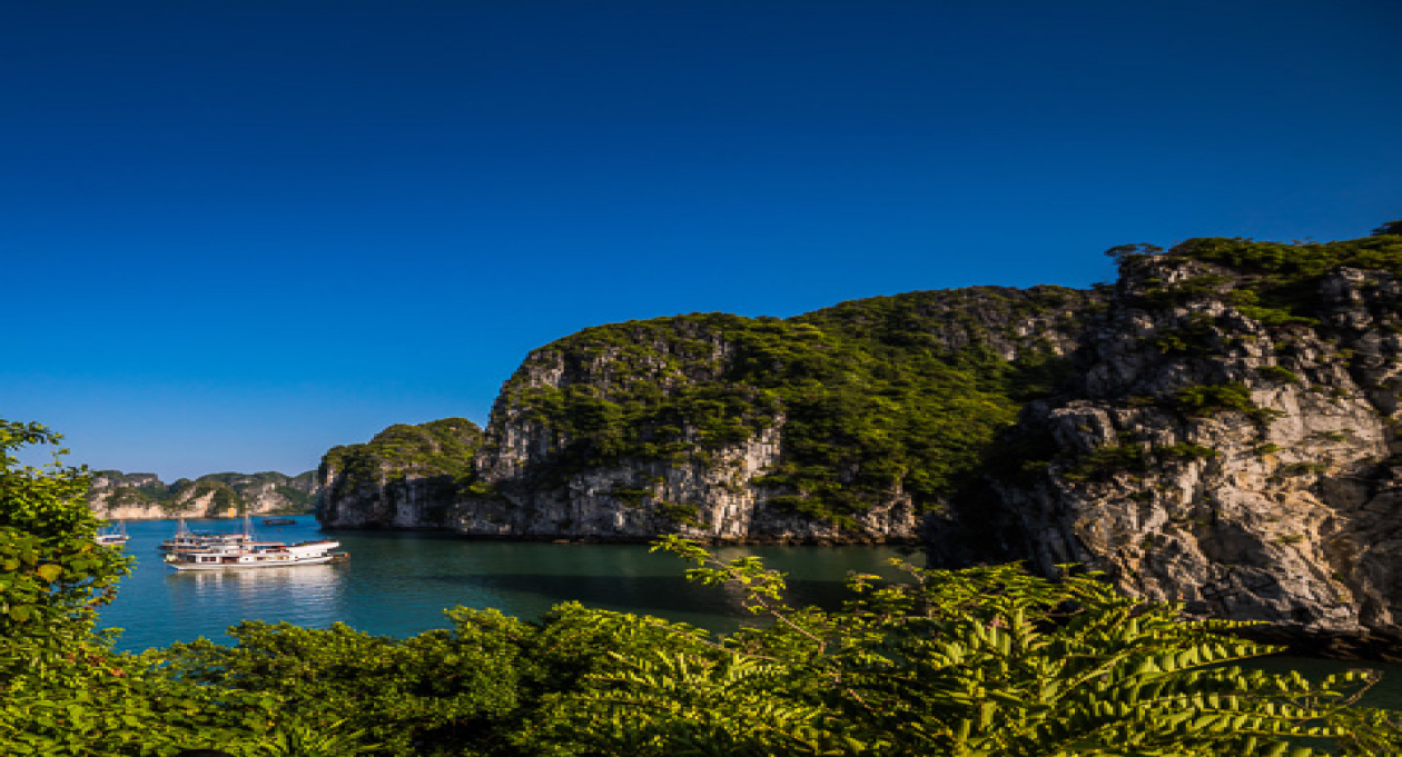 Ha Long Combo with Syrena Cruise