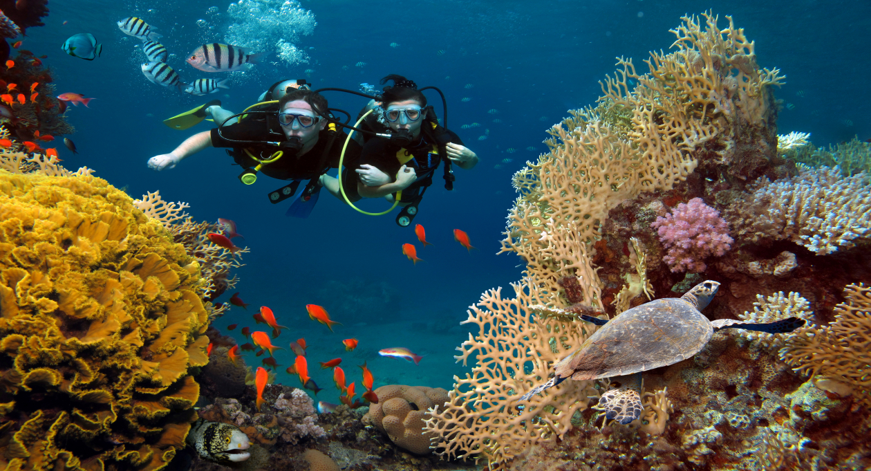 Underwater Activities in Phu Quoc