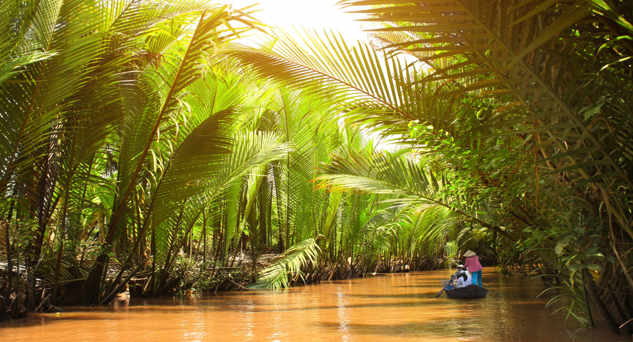 Admire the stunning scenery of the “Nine Dragons” rivers in Vietnam